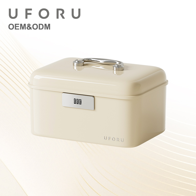 Home Security Box - Caja de Almacenamiento con Cerradura y